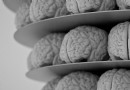 Wissenschaftler haben soeben zum ersten Mal in einem Labor ein tödliches menschliches Gehirnprotein hergestellt