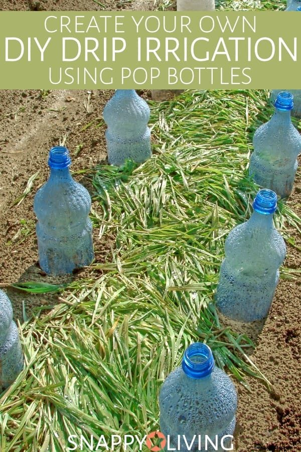 DIY Tropfbewässerungsflasche für Gärten {How To} 