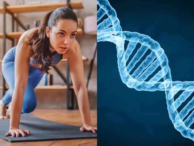 Können Ihre Gene den Unterschied in den Trainingsergebnissen erklären? 
