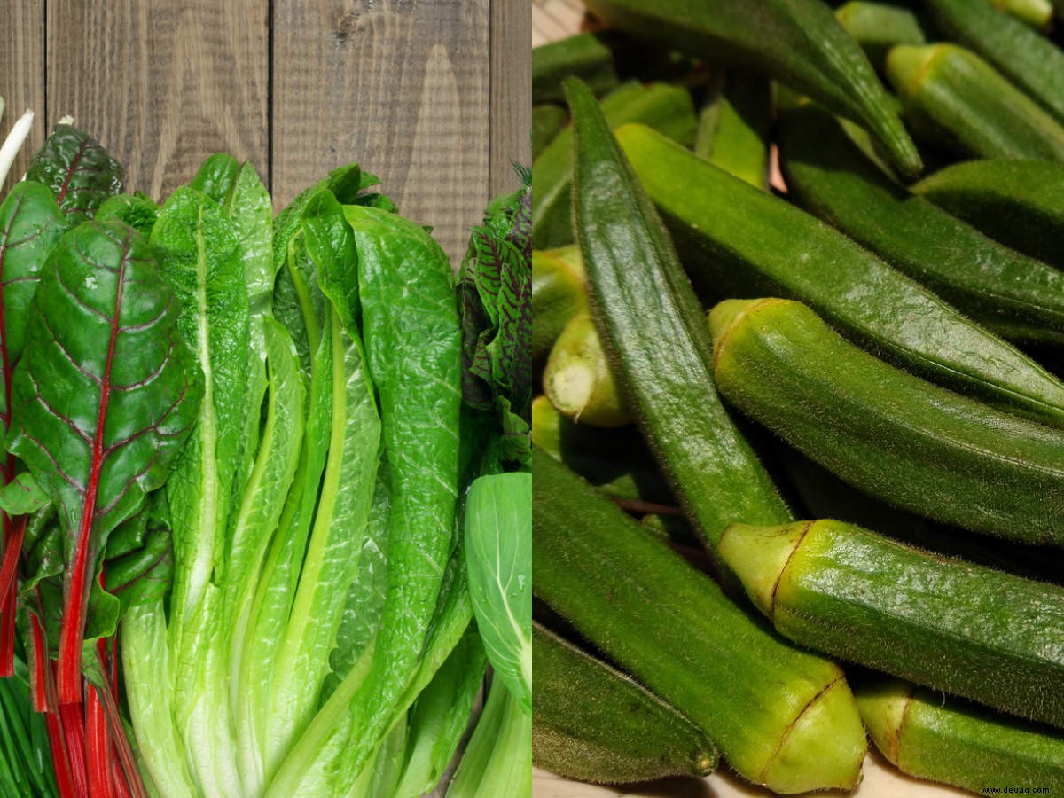Grünes Blattgemüse vs. grünes Gemüse:Was ist gesünder und wie viel brauchen wir? 