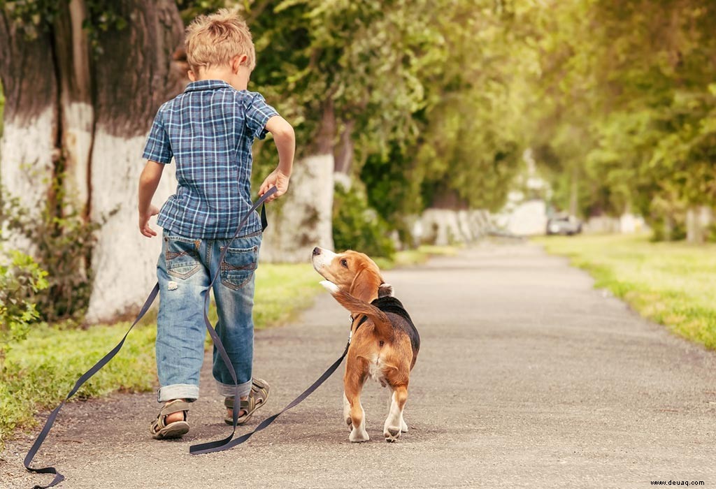 10 Tierfilme, die Kinder gerne sehen werden 