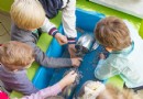 6 lustige Magnetexperimente und Aktivitäten für Kinder 