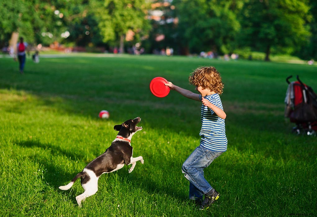 6 einfache und unterhaltsame Picknick-Spiele für Kinder 