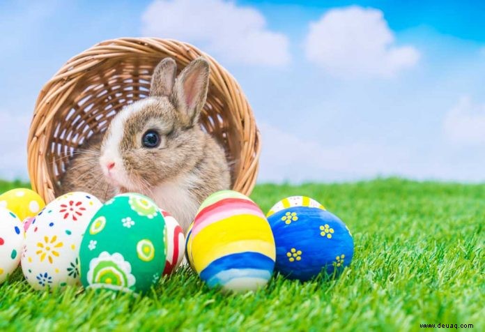 Ist der Osterhase echt – Profi-Tipps, um Ihren Kindern zu antworten 