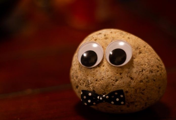 5 einfache Pet Rock Bastelideen für Kinder 