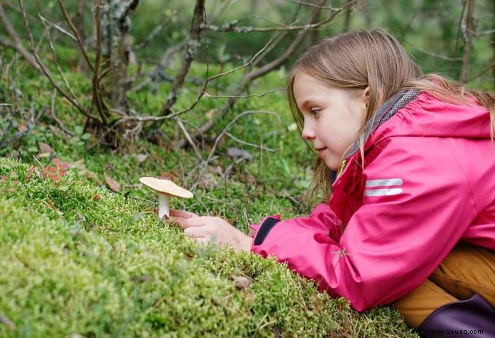 Interessante erziehungswissenschaftliche Spiele für Kinder 