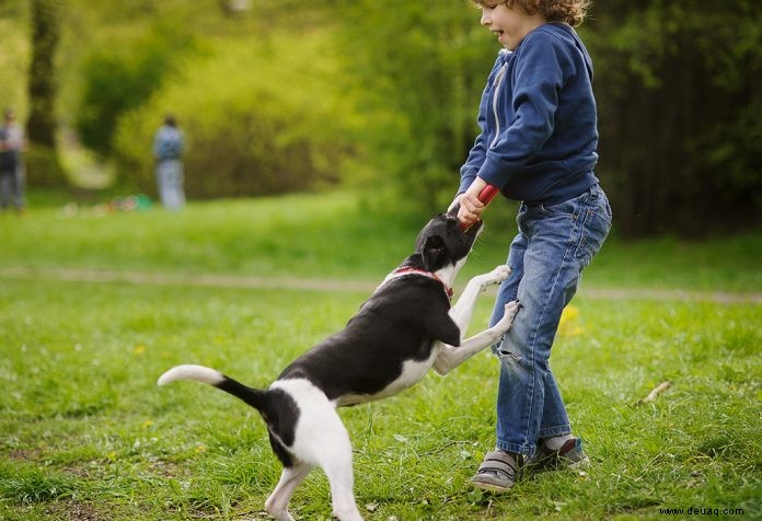 Hundebisse bei Kindern 