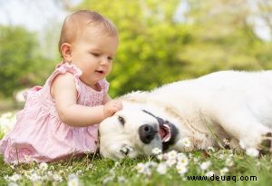 Babys und Haustiere – Einführung, Vorteile und Sicherheitstipps 