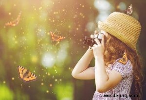 Interessante Schmetterling Fakten und Informationen für Kinder 