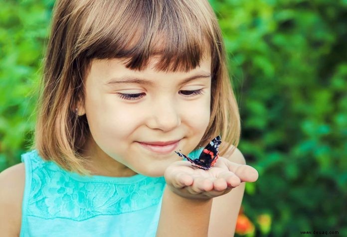 Interessante Schmetterling Fakten und Informationen für Kinder 