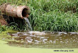 Informationen und Fakten zur Wasserverschmutzung für Kinder 