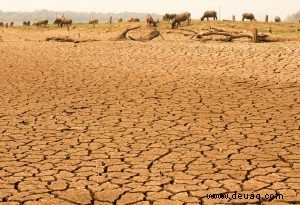 Fakten über die globale Erwärmung und den Klimawandel für Kinder 