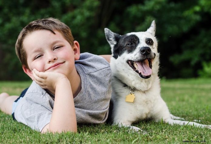 Hundeinformationen für Kinder – 42 Fakten, die Ihr Kind wissen muss 