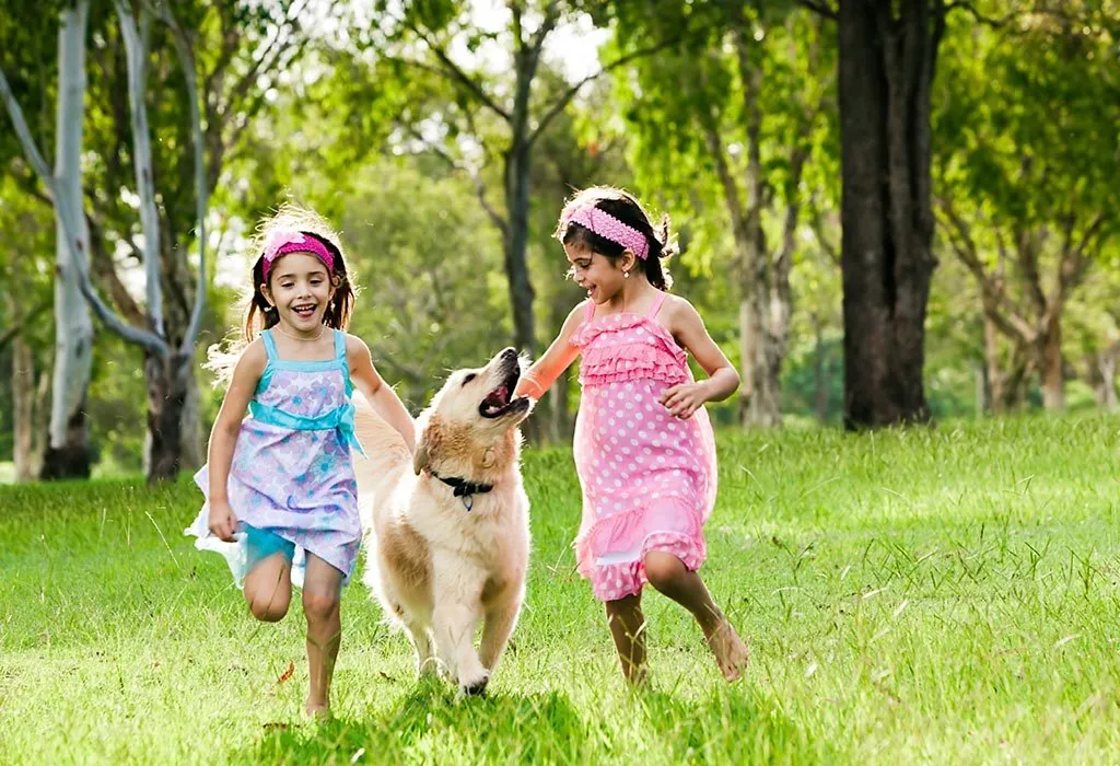 Hundeinformationen für Kinder – 42 Fakten, die Ihr Kind wissen muss 