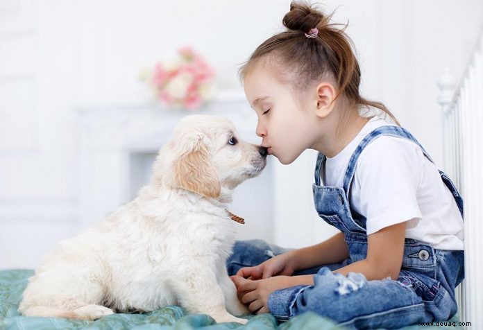 Top 20 Hunderassen für Kinder 