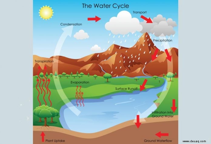 Erklärung des Wasserkreislaufs für Kinder – Prozess und lustige Fakten 