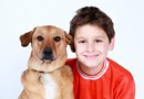 Wie das Halten eines Haustieres Empathie bei Ihrem Kind aufbauen kann 