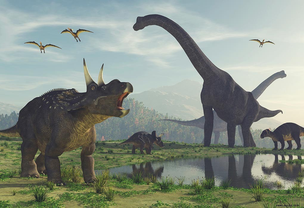 Interessante Fakten über Dinosaurier für Kinder 