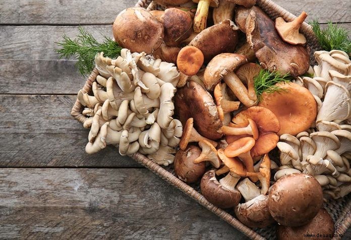 8 köstliche Pilzrezepte für Kinder 