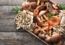 8 köstliche Pilzrezepte für Kinder 