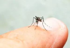 Malaria bei Kindern – Ursachen, Symptome und Behandlung 