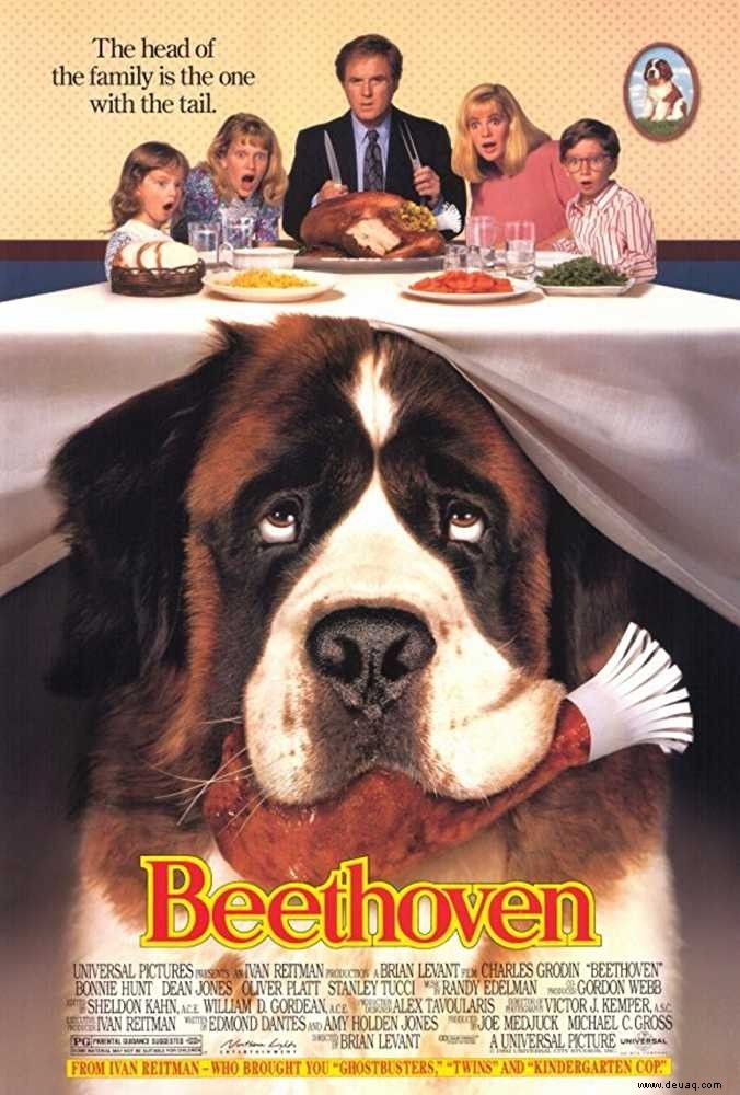 Die 10 besten Hundefilme für Kinder 