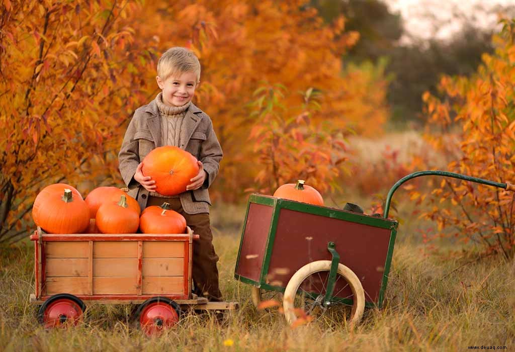 12 schöne Herbstgedichte für Kinder 