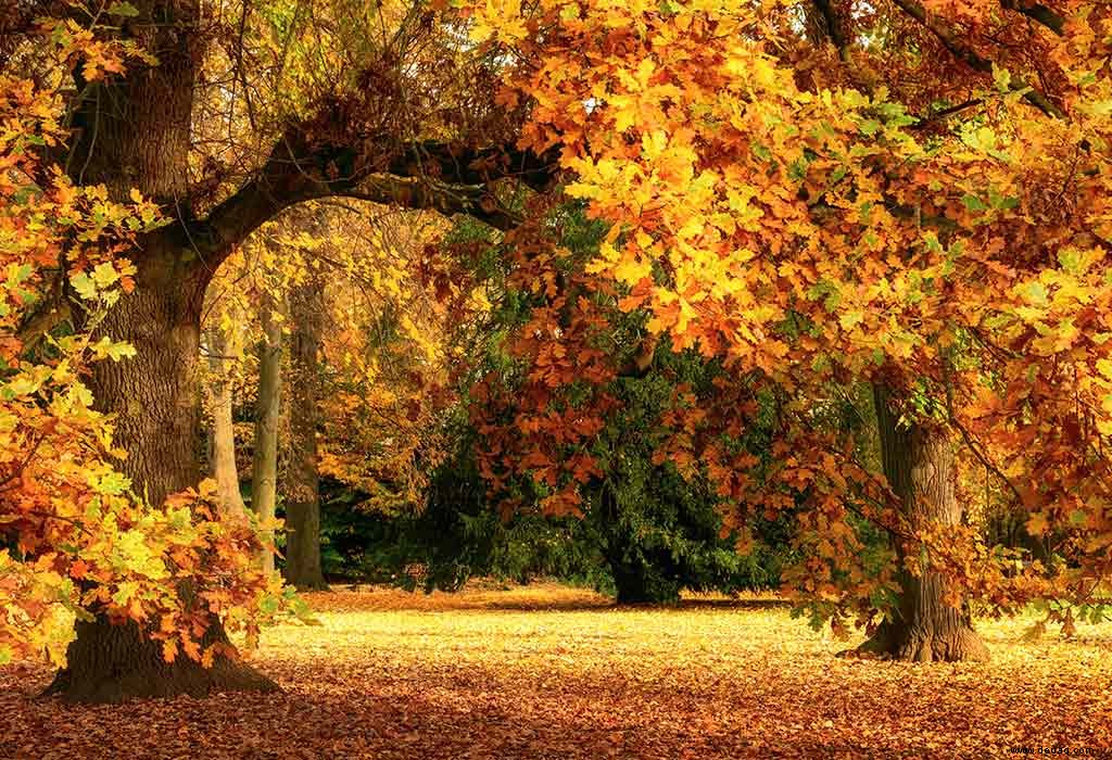 12 schöne Herbstgedichte für Kinder 