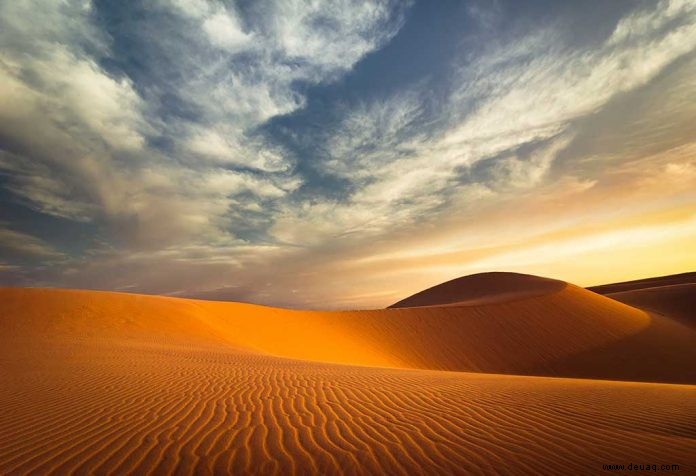 Faszinierende Wüstenfakten für Kinder 