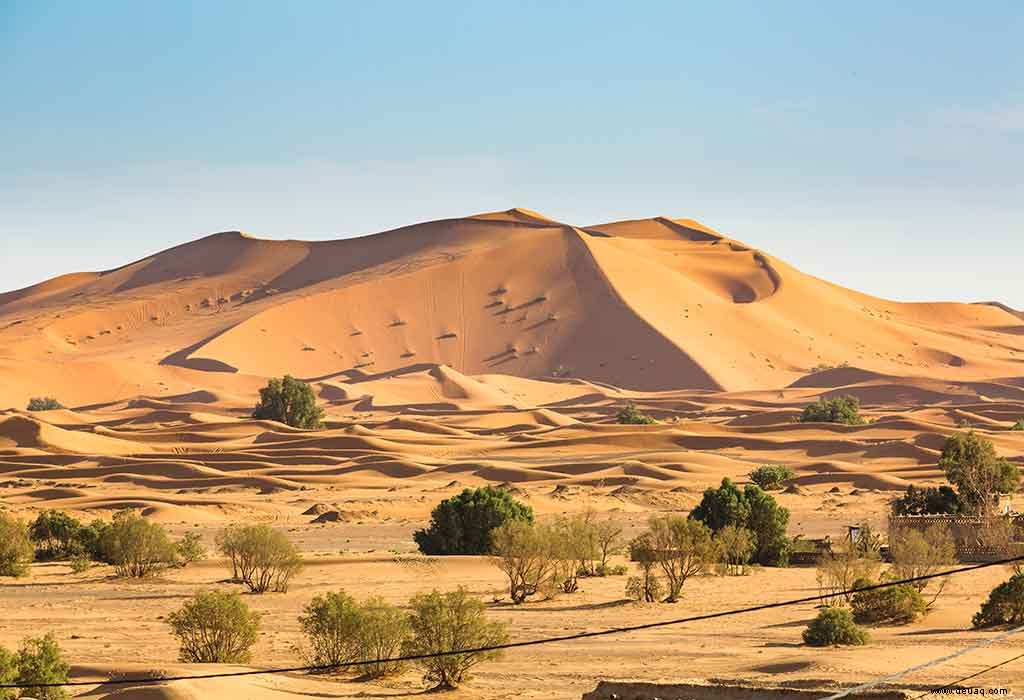 Faszinierende Wüstenfakten für Kinder 