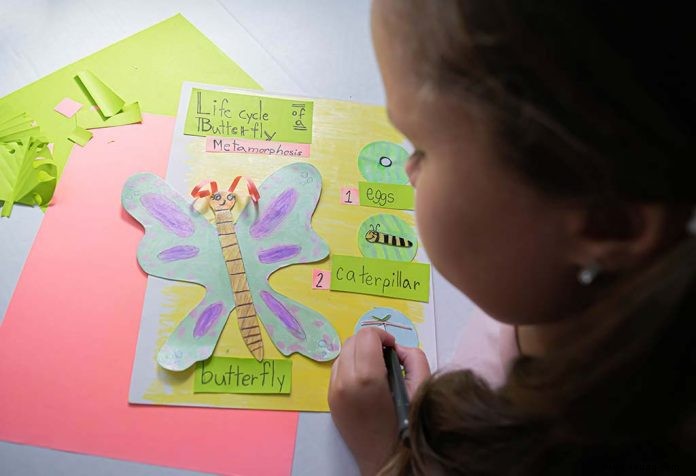 Alles, was im naturwissenschaftlichen Lehrplan der ersten Klasse gelehrt wird 