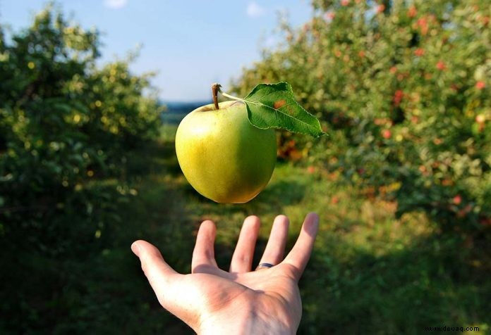 Fakten und Informationen über die Schwerkraft für Kinder 