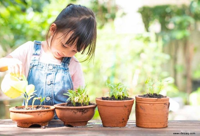 Faszinierende Informationen über Teile einer Pflanze für Kinder 