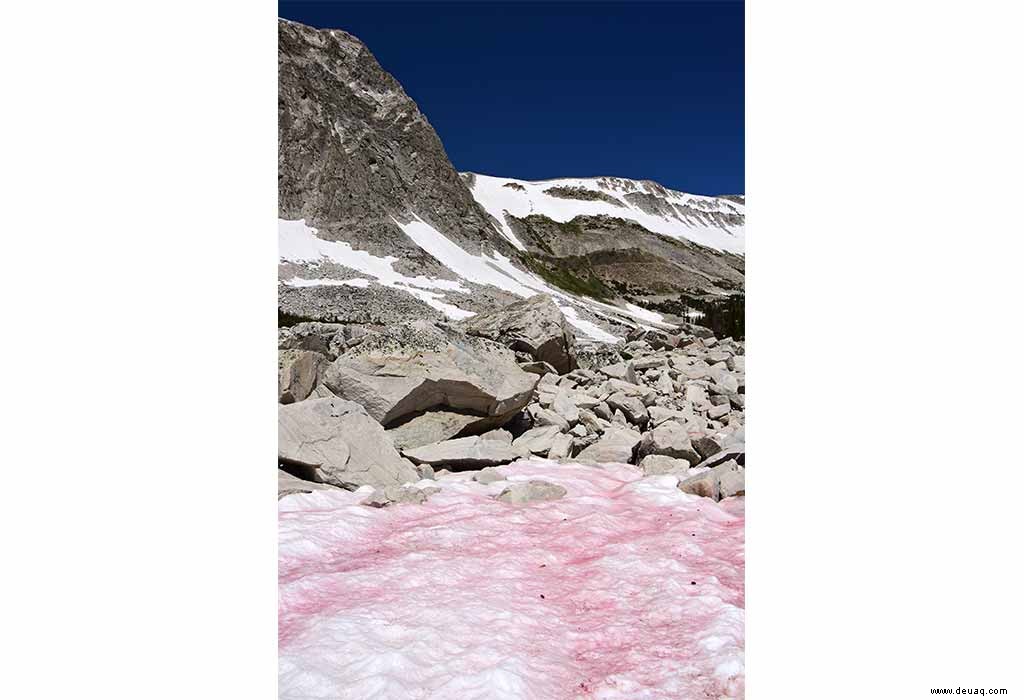 Erstaunliche Schneefakten für Kinder 