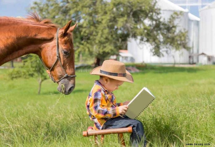 10 interessante Pferdebücher für Kinder 