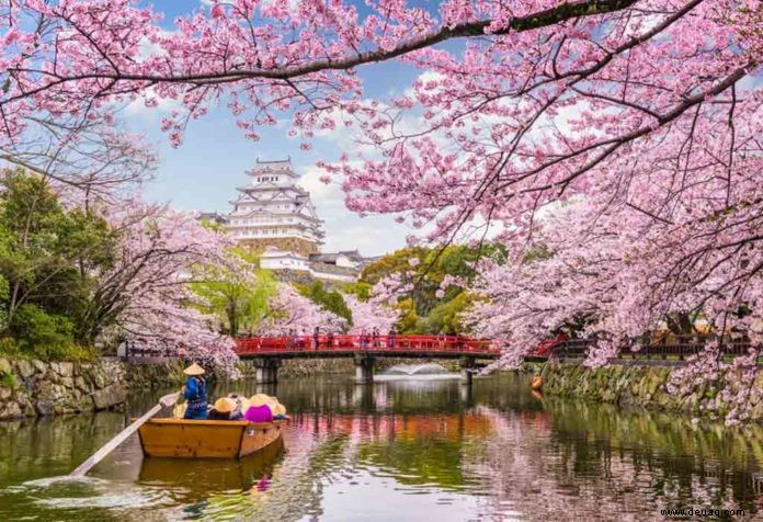 Lustige Fakten über Japan für Kinder 