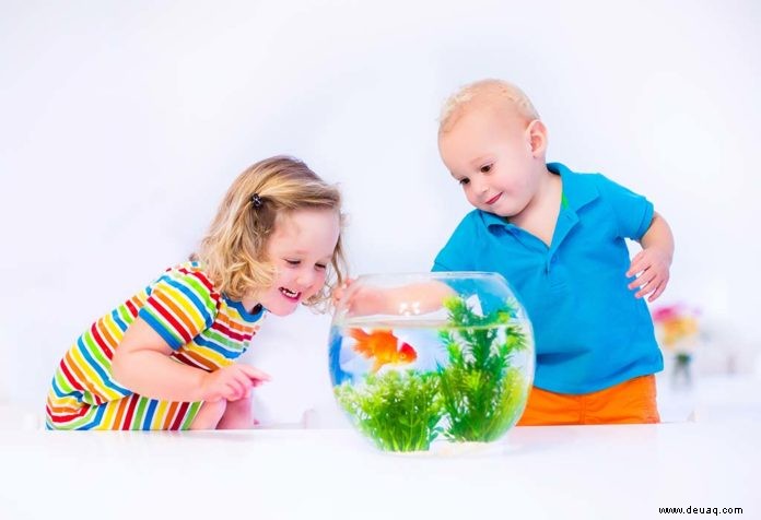 Erstaunliche Fakten über Fische für Kinder 