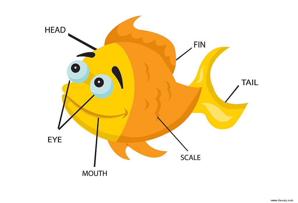 Erstaunliche Fakten über Fische für Kinder 