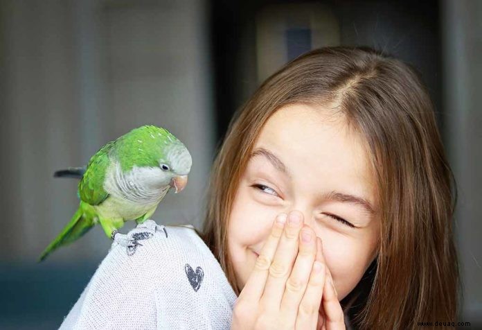 Lustige und erstaunliche Vogelfakten für Kinder 