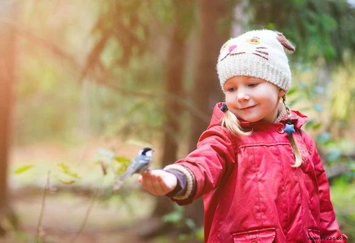 Schöne Vogelgedichte für Kinder 