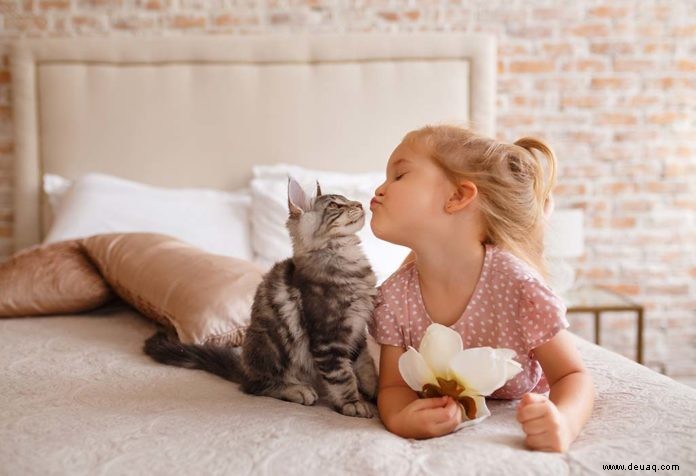 Top 15 Gedichte über Katze für Kinder 