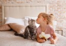 Top 15 Gedichte über Katze für Kinder 