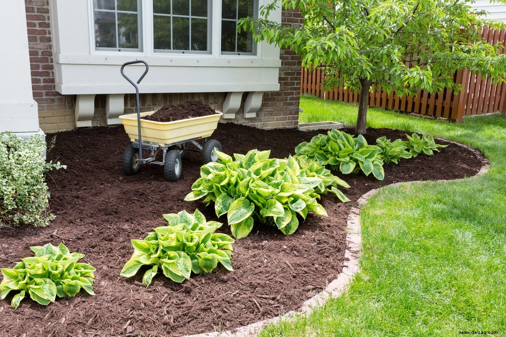 9 Gestaltungstipps für Ihren Vorgarten 