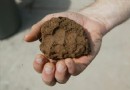 3 Schritte, um Ihren Parkstreifen in einen Garten zu verwandeln 