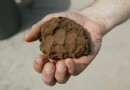 3 Schritte, um Ihren Parkstreifen in einen Garten zu verwandeln 