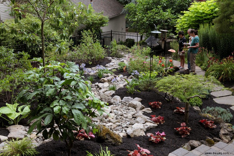 Verwandeln Sie ein sumpfiges, schlammiges Durcheinander in einen wunderschönen Seitengarten 