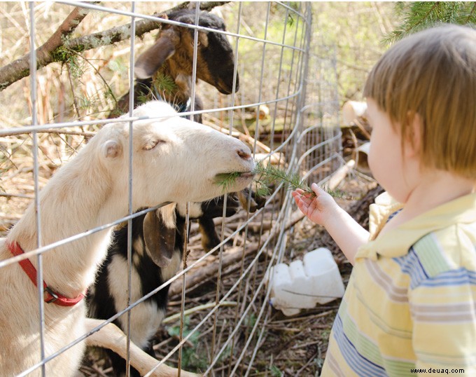 Irdische Freuden – Urban Farmers 