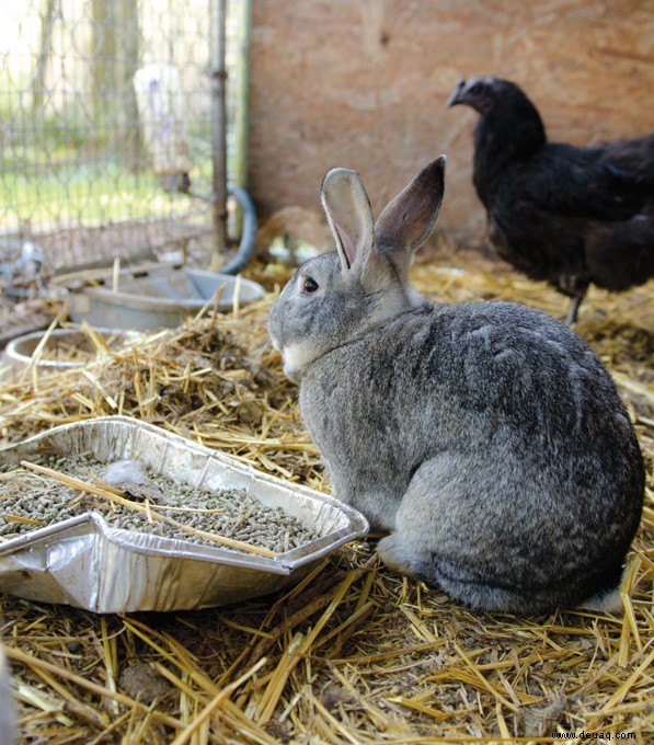 Irdische Freuden – Urban Farmers 