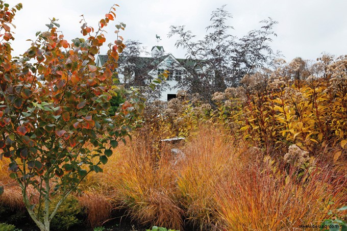 Der Herbstgarten 