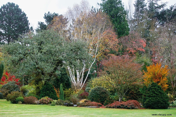 Der Herbstgarten 